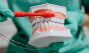 What Happens During Periodontal Therapy in Mullins, SC
